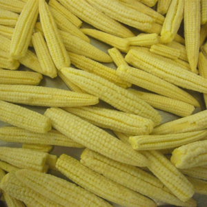 Maíz Bebé Congelado de Alta Calidad de Vietnam, Cosecha Fresca y Empacado para Pedidos de Exportación - Product Image 3