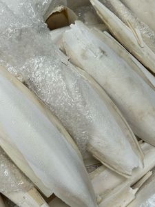 Hueso de pescado seco Cuttle, auténtico Material marino secado al sol de Vietnam, hueso de pescado seco Cuttle para manualidades, joyería, suministros para mascotas - Product Image 4