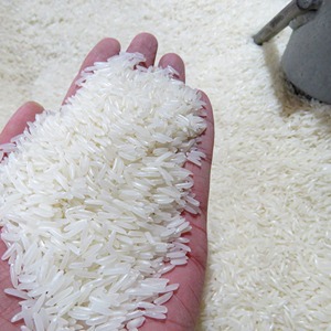 Importación de Arroz de Francia a Vietnam |   Arroz Francés, Arroz Asiático Fresco, Arroz Japonés Jazmín de Grano Largo, 5% de Grano Partido |   OO84825431311 - Product Image 4