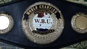 Ceintures de championnat de boxe Trophées Médailles et récompenses le symbole ultime de la victoire et de l'excellence Ceintures de championnat - Product Image 2