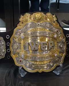 เข็มขัดแชมป์ที่กำหนดเองรางวัลเหรียญและรางวัลสัญลักษณ์สูงสุดของชัยชนะและเข็มขัดแชมป์ - Product Image 4