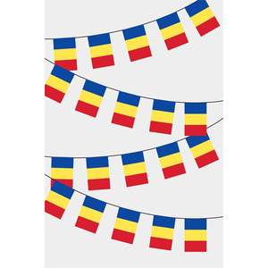 Rectangular Flag <b>Banners</b> for Party Decorations - Product Image 1
