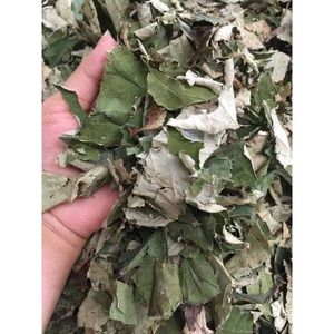 HOJAS DE LOTO SECAS NATURALES/LIMPIAMENTE PROCESADAS/ORIGEN VEGETAL - Product Image 3
