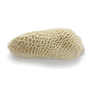 ผ้าขี้ริ้วเนื้อแกะสดเกรดอาหารฮาลาล - Product Image 6