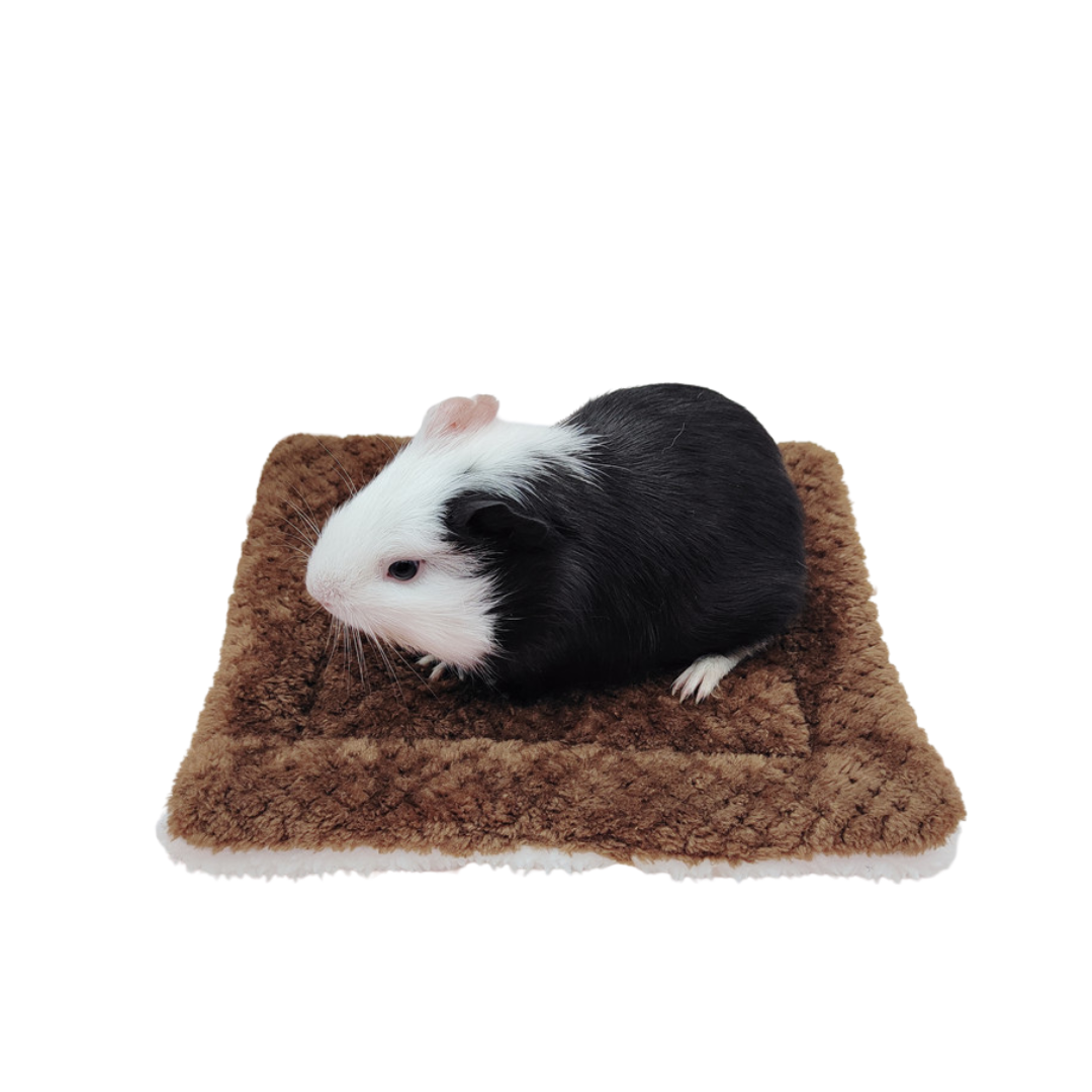 สีน้ำตาล