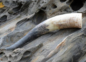 Chope élégante artisanale polie à boire Stein Natural Crafts Tankard pour les amateurs de bière et d'hydromel - Product Image 2