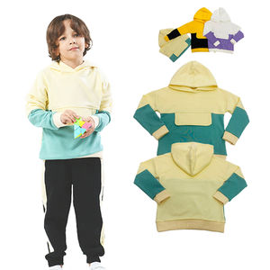 Conjunto Deportivo de Dos Piezas para Niños, Sudadera y Pantalones Deportivos con Logotipo Personalizado Premium, Estilo Urbano Informal, Diseño de Bloques de Color - Product Image 2