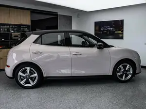 2023 Oral 03G.T Double Lithium R18 Vagoneta de Cuero con Techo Panorámico, Portaequipajes de Aleación de Aluminio, 6 Asientos - Product Image 3