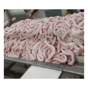 Aorta de Res Congelada, Precio de Mayoreo, Suministro de Fábrica |   Pene de Res Congelado |   Carne de Res Halal Sin Hueso Disponible para la Venta - Product Image 4
