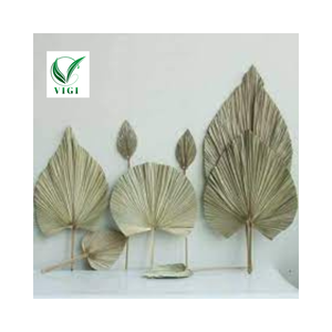 Ventilateurs à main en bambou pour la décoration intérieure Art mural en feuille de palmier - Product Image 1