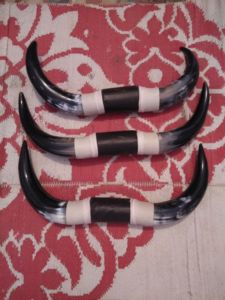 Natural Animal Style Drinking Horn <b>Set</b> Nautical Home Wall Decor Pair Horns From India - Product Image 2