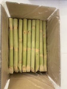 Canne à sucre congelée de qualité supérieure prête à l'exportation-Canne à sucre fraîche sucrée de fournisseurs du Vietnam prête à vendre avec la meilleure offre - Product Image 6