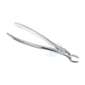 Service OEM, forceps d'extraction dentaire en stock, forceps d'extraction en vente chaude, forceps d'extraction - Product Image 4