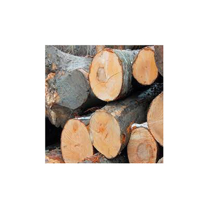 Louche en bois de hêtre naturel de 11 \ "écologique cuillère à soupe vaisselle de cuisine nouveau grand bois de bûche industriel de la chambre - Product Image 5