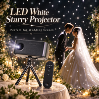Projecteur de scène extérieur IP67, effet feuille d'érable, flocon de neige, luciole, étoile, blanc et jaune, pour la décoration de Noël, de mariage et de jardin
