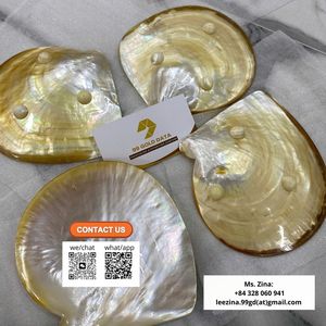 เปลือกหอยเป๋าฮื้อสีมุกหายาก ขัดเงาสีรุ้งเหลือบรุ้ง บรรจุภัณฑ์แบบขายส่ง สำหรับตกแต่งวิลล่าหรูหรา พรีเมียม ชามศิลปะ - Macy - Product Image 3
