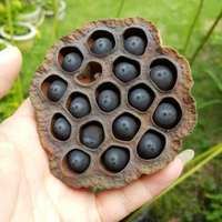 Premium gedroogde lotuszaden Vietnam groothandel export aanbod aangeboden tegen concurrerende fabrieks prijzen. Internationale koperen 12 maanden garantie.