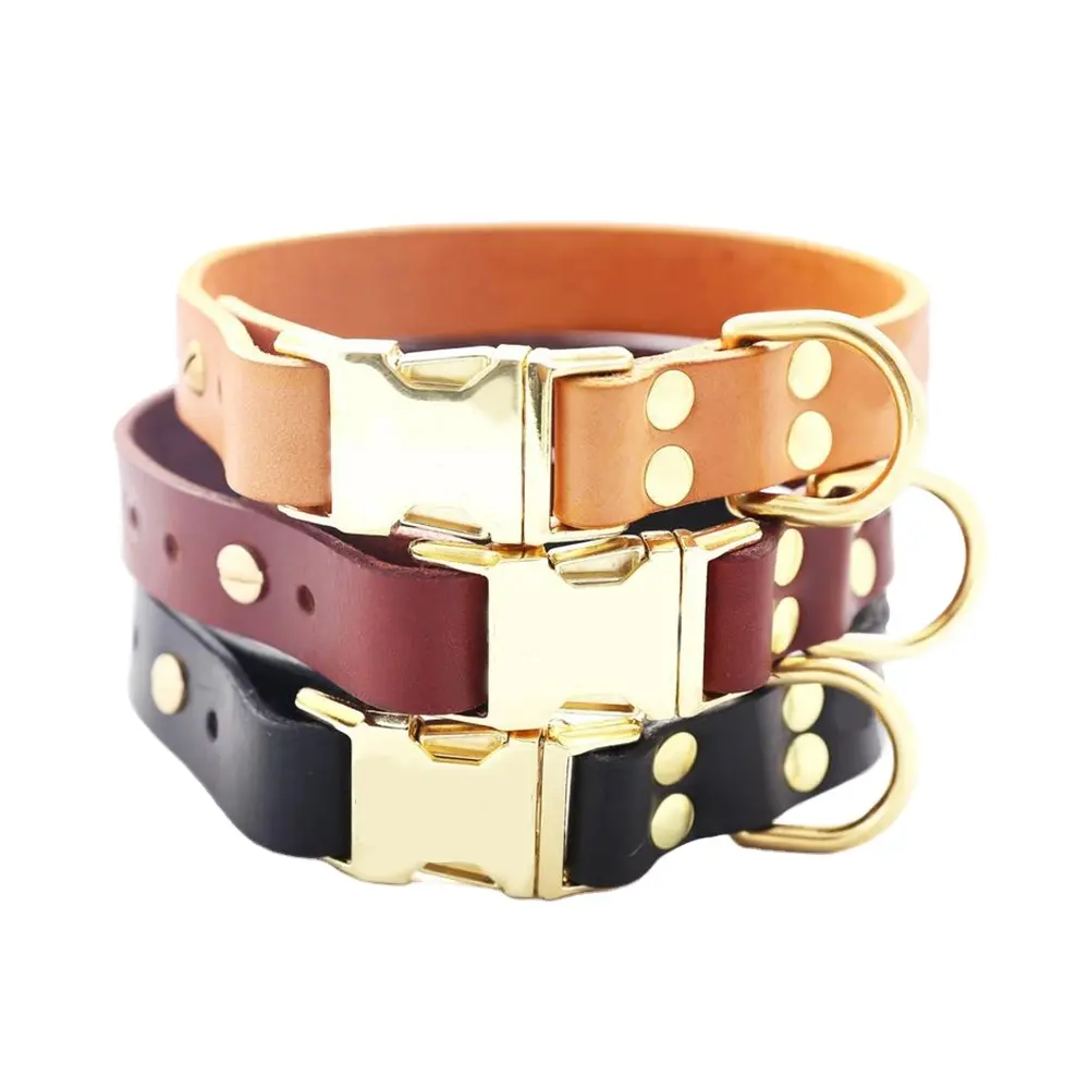 Dog collar soft padding strong luxury leather pet collars with gold buckle for dogs products accessories