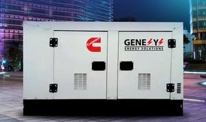 For Diesel <b>Generator</b> 20kVA Auto Start Soundproof Canopy for Sale - Product Image 3