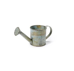 Regadera Metálica Decorativa, Fabricante y Exportador, Regadera Galvanizada de Diseño Personalizado, Venta al Por Mayor - Product Image 2