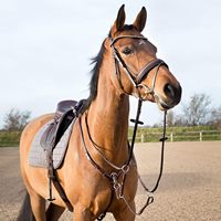 Accessoires équestres : Selle anglaise, harnais d'endurance, bavette, martingale en cuir personnalisable – Équipement pour chevaux