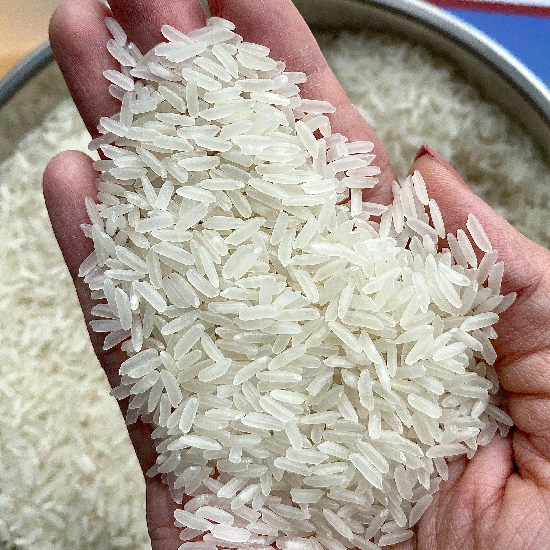 Ароматный Жасминовый рис 5% сломанный ВЬЕТНАМСКИЙ РИС riz riso - WhatsApp/Viber:+ 84-975807426 Люси