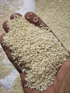 งาขาวทั้งก้อนสำหรับสูตรดั้งเดิมและอาหารรสเลิศพร้อมขายจากอินเดีย - Product Image 2