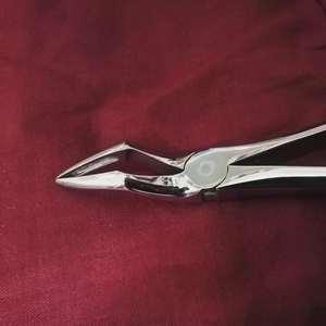 Fórceps Dentales Quirúrgicos para Extracción de Dientes, de Alta Eficiencia, Uso Médico, Fuente de Energía Manual, Compatible con Acero Inoxidable MOL - Product Image 1