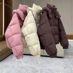 Femmes confortable grimpeur coton veste à capuche rembourré Parkas vestes chaud épais manteaux vêtements d'extérieur pour femmes Streetwear - Product Image 5