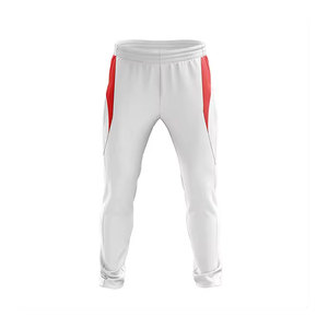 Best Style Sports Wear Easy Fit Sublimation Cricket Uniform Set Proper Factory Design Unique Color Cricket Uniform - Product Image 3