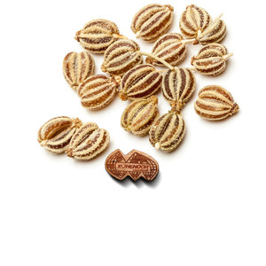 Ajwain (carom) | กลิ่นหอมสะอาด | สมุนไพรเชิงนิเวศ - Product Image 4