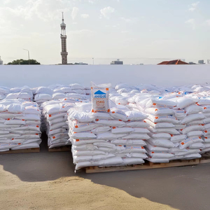 Sal del Mar Céltico Blanca Orgánica en Polvo, Bolsa de 25 kg, Venta al por Mayor en Egipto, AHIDJE, Refinada, 99% de Yodo, Opcional, Grado Alimenticio Certificado, Halal - Product Image 1