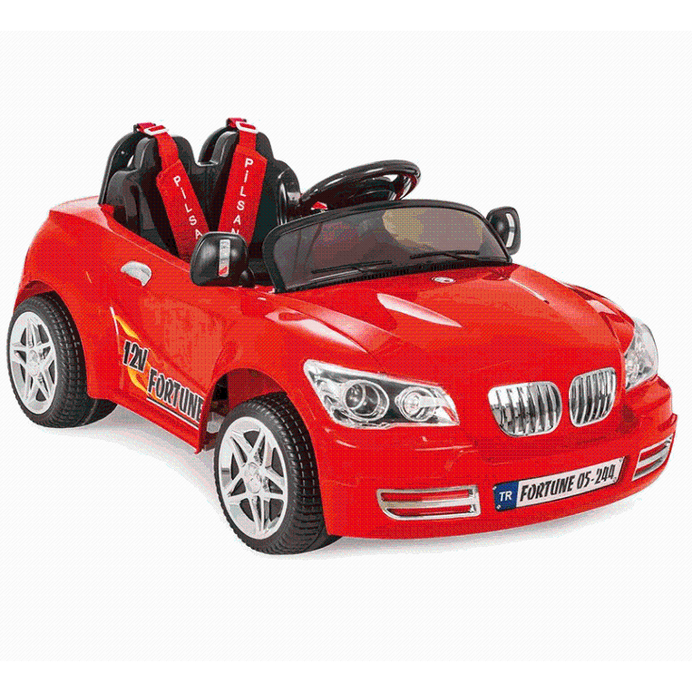 Fortuna doppia batteria auto pilsan batteria modello 05 244 - Product Image 1