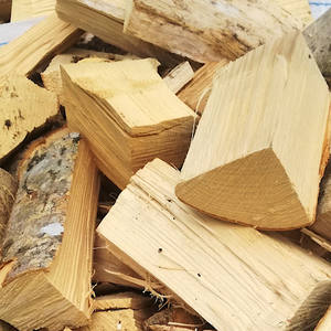 ต้นฟืนบีชจากฟิลิปปินส์ - Product Image 4