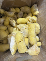 Premium kwaliteit gedroogde verse durianpulp, vacuüm verpakt, biologisch, uit Vietnam, gemaakt van rijpe Monthong en Ri6, voor bulk export.
