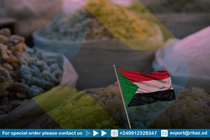 100% Gomme d'acacia soudanaise pure arabe utilisée dans l'industrie alimentaire et des boissons Sénégal Gomme arabe Hashab Produit agricole - Product Image 2