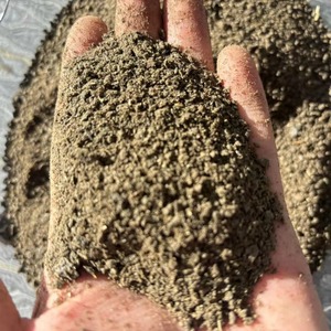 Repas de tournesol de haute qualité pour l'alimentation des animaux - Product Image 6