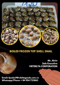 Caracoles Frescos Hervidos y Congelados en Oferta, Caracoles Hervidos y Congelados, Caracoles Hervidos y Congelados, Vacaciones 2022 - Product Image 5