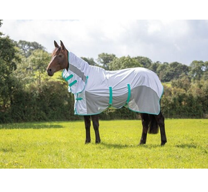 Ultra Light Horse Rugs for Summer Made from Breathable Materials to Protect Horses from Heat and Sweat - Product Image 3