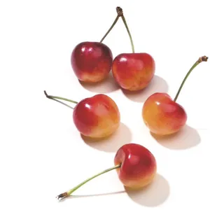 Cerises fraîches naturelles de qualité à vendre