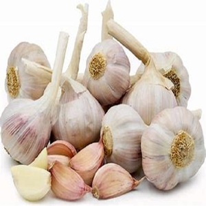 Compre al por Mayor Ajo Fresco Europeo Blanco Puro de la Mejor Calidad para la Venta - Product Image 3