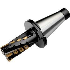 Nueva Fresa de Corte a la Derecha PRAMET ISO 50J4R124X50-SSAP55+21, Diámetro de Corte 50 mm - Product Image 1