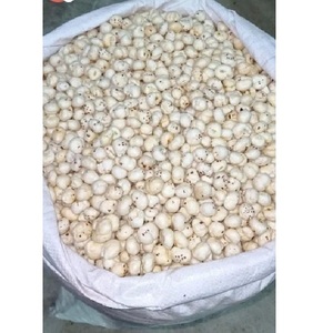 Dried Lotus Seeds Premium <b>Nuts</b> & <b>Kernels</b> - Product Image 1