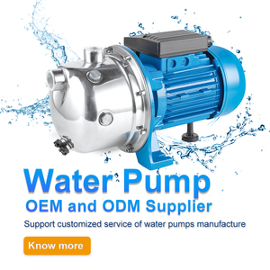 Máy bơm nước gia đình JS Pompe Electrique bằng thép không gỉ, áp <span class=keywords><strong>l</strong></span>ực cao, cánh bơm bằng đồng thau, tự mồi, dòng nước sạch, 1hp dùng cho vườn. - Product Image 5