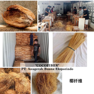 La fibre de noix de coco est transformée en plusieurs étapes et peut être utilisée comme support de culture et pour la fabrication de balais. - Product Image 3