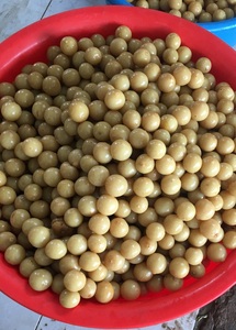 Limón salado-Lima encurtida con buena calidad Buen precio Por proveedor 99 Gold Data Vietnam para exportación con precio competitivo - Product Image 6