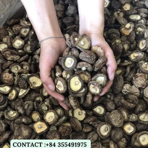 100% hữu cơ tự nhiên <span class=keywords><strong>Shiitake</strong></span> Nấm/cao dinh dưỡng, thu hoạch tại Việt Nam/ms. Jessi + 84 355491975 - Product Image 3