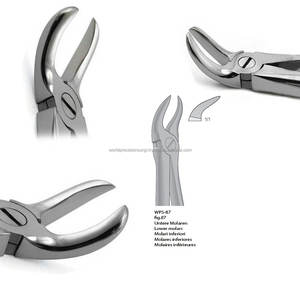 Forceps d'extraction dentaire manuel ergonomique World Precision Surgical WPS-87 Fig 87 pour molaires inférieures, en acier inoxydable chirurgical - Product Image 3