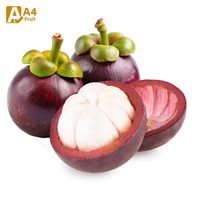 Thailand Beste Biologische Verse Mangosteen, in doos verpakt, natuurlijk zoet en voedzaam, Khey Taladthai Graad A, 8kg, 1-2 weken houdbaarheid