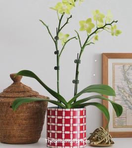 Incrustación de hueso Floral decorativo resistente al agua pequeña maceta Navidad temporada hogar Interior FLORES PLANTAS diseño único Decoración - Product Image 4